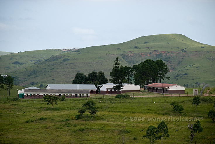 Habeni Primary /static/Habeni/DSC_7399.jpg